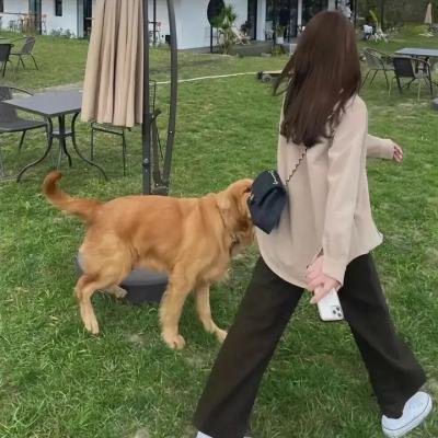倭河马的秘密生活